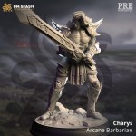 Charys - Arcane Barbarian - DM Stash 