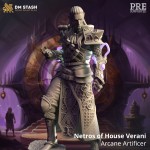 Netros of House Verani, Arcane Artificer - DM Stash 