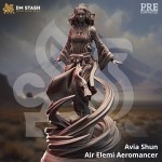 Avia Shun, Air Elemi Aeromancer - DM Stash