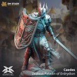 Caedes, Zealous Paladin of Erdrydion - DM Stash 