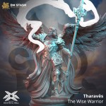 Tharavës, The Wise Warrior - DM Stash