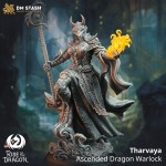 Tharvaya, Ascended Dragon Warlock - DM Stash