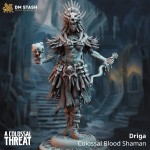 Driga, Colossal Blood Shaman - DM Stash 