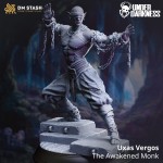 Uxas Vergos, The Awakened Monk - DM Stash  