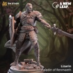 Lizarin, Paladin of Renmaeth - DM Stash 