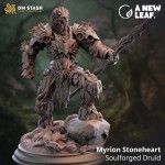 Myrion Stoneheart, Soulforged Druid - DM Stash 