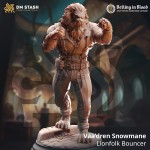 Vaa’dren Snowmane, Lionfolk Bouncer - DM Stash