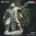 Raiko, Tiger Monk - DM Stash 