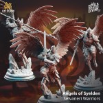 Angels of Syelden, Selvaneri Warriors - DM Stash 