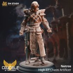 Netros, High Elf Chaos Artificer - DM Stash 