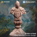 Ervion ro Estel, Elven Monster Hunter Ranger - DM Stash