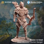 Ervion ro Estel, Elven Monster Hunter Ranger - DM Stash 
