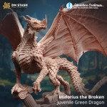 Midorius the Broken, Juvenile Green Dragon - DM Stash
