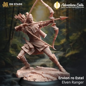 Ervion ro Estel, Elven Ranger - DM Stash