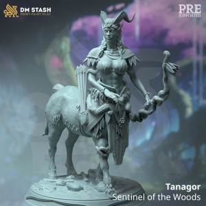 Tanagor, Centaur Sentinel - DM Stash 