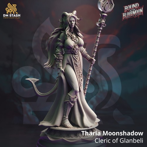 Tharia Moonshadow - Cleric of Glanbeli.jpg