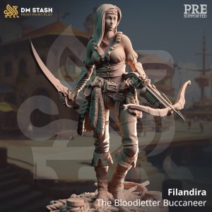 Filandira - The Bloodletter Buccaneer - DM Stash