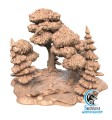Forest.jpg