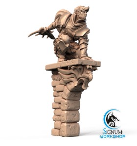 Daniel, Vallor’s Hawk - Signum Workshop 