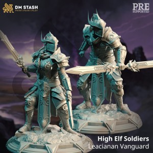 Leacianan Vanguard, High Elf Soldiers  - DM Stash