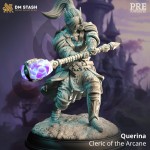 Querina, Cleric of the Arcane - DM Stash