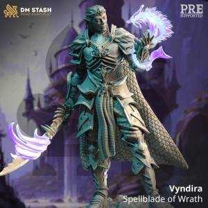 Vyndira, Spellblade of Wrath - DM Stash