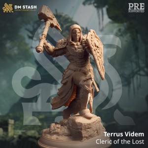Terrus Videm, Cleric of the Lost - DM Stash