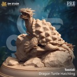 Testidi, Dragon Turtle Hatchling - DM Stash