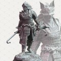 resize-kenshi-kitsune-foul-mouthed-fox.jpg