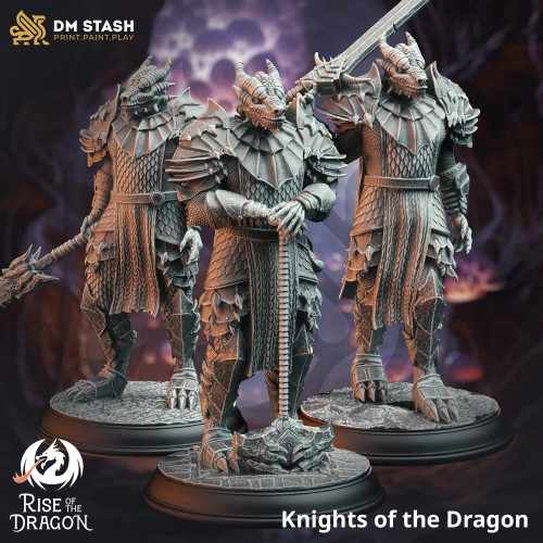 Knights of the Dragon - Group.jpg