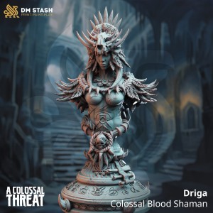 Popiersie Driga, Female Colossal Blood Mage - DM Stash