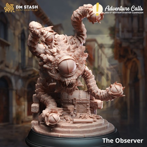 The Observer.jpg