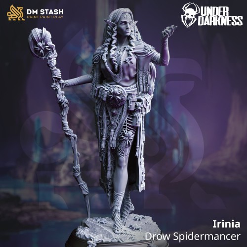 Irinia - Drow Spidermancer.jpg