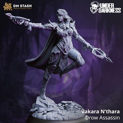 Vakara N’thara, Drow Assassin.jpg