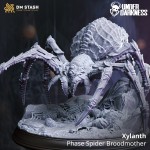 Xylanth, Phase Spider Broodmother - DM Stash