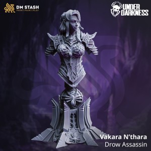 Popiersie Vakara N’thara, Drow Assassin - DM Stash 