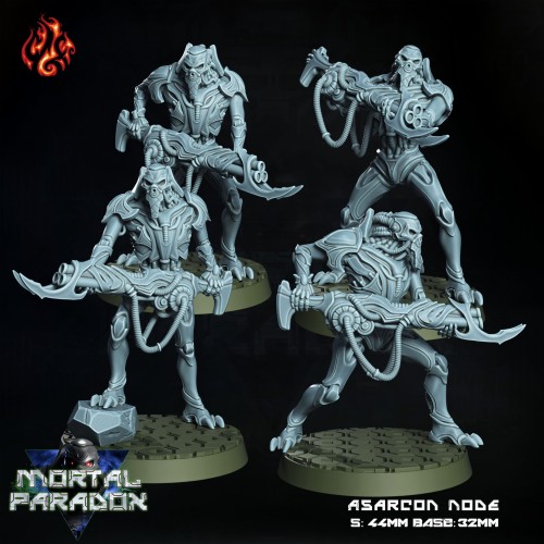 Asarcon Node.jpg