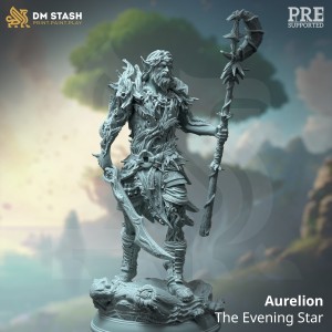Aurelion, Bark Skin Druid Warden - DM Stash