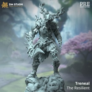 Treneal, Infused Druidic Barbarian - DM Stash