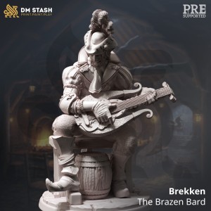 Brekken, Half-Elf Bard - DM Stash 