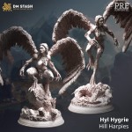2 Harpie - DM Stash