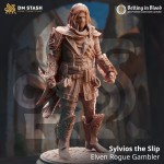 Sylvios the Slip, Elven Rogue Gambler - DM Stash 
