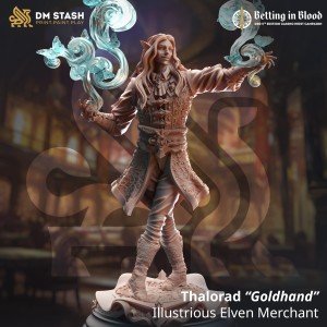 Thalorad “Goldhand” - Illustrious Elven Merchant - DM Stash 