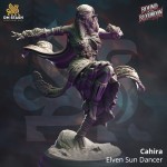 Cahira, Elven Sun Dancer - DM Stash 