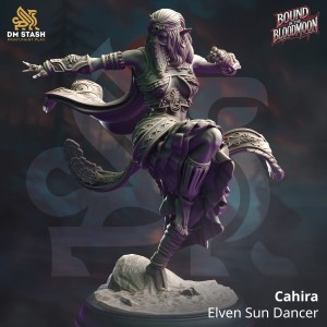 Cahira, Elven Sun Dancer - DM Stash 