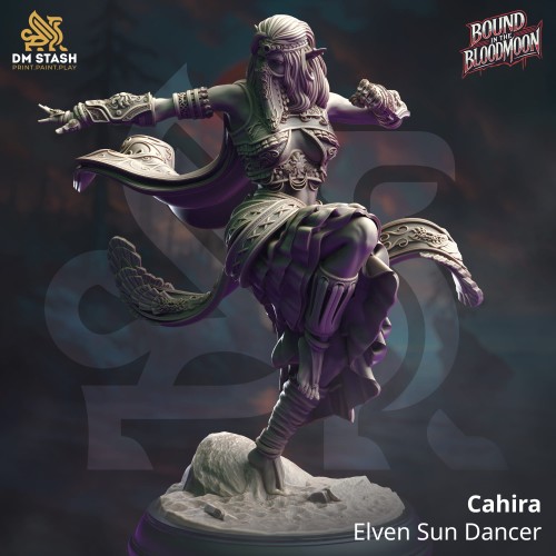 Cahira - Elven Sun Dancer.jpg