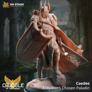 Caedes, Erdydion’s Chosen Paladin - DM Stash