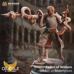 Cedric of Wildern, Soldier of Redemption - DM Stash