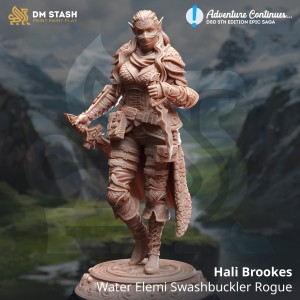Hali Brookes, Water Elemi Swashbuckler Rogue - DM Stash 